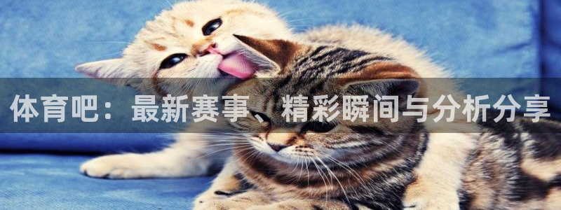 体育吧：最新赛事、精彩瞬间与分析分享