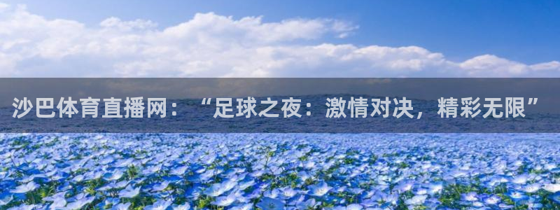 沙巴体育直播网：“足球之夜：激情对决，精彩无限”
